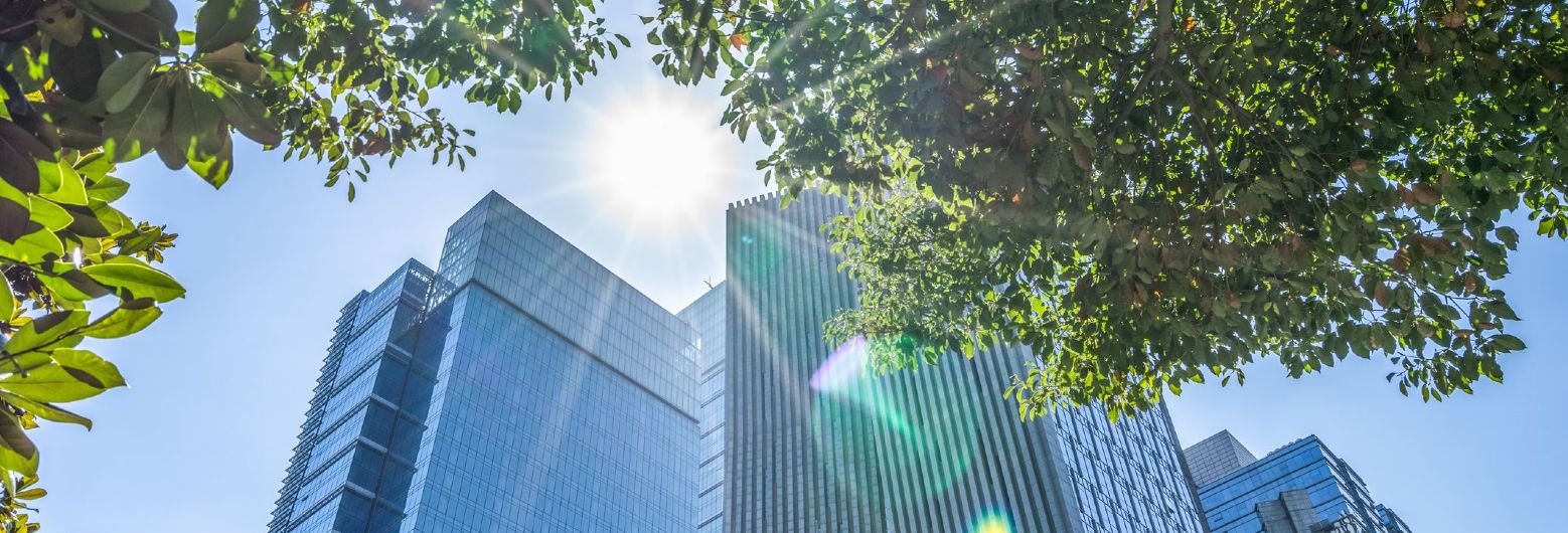 Savills Property Management Due Diligence